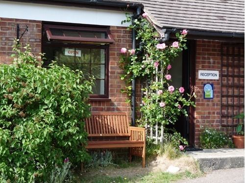 Spindlewood Country Holiday Park - Caravan Park Hastings Kültér fotó